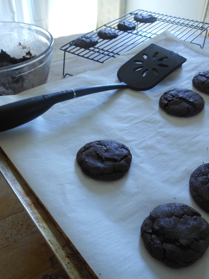 warm double chocolate cookies